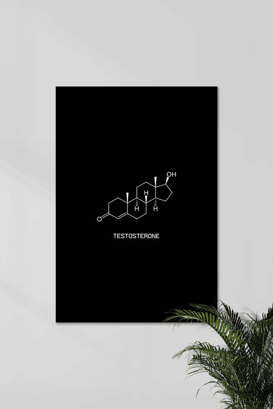 TESTOSTERONE | GYM | Motivational Poster