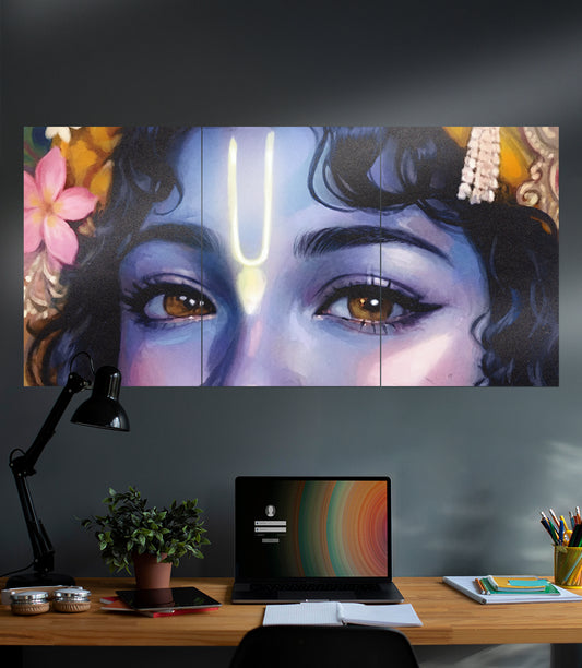 The Divine Vision | Krishna | Devotional | 3 Piece Set