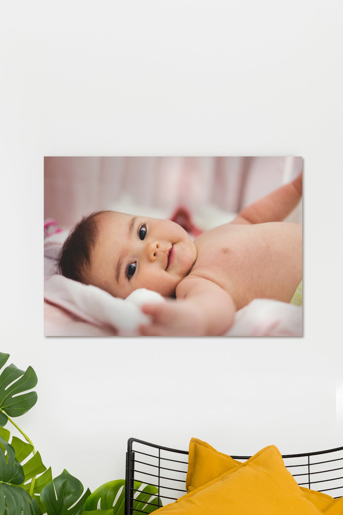 Cute Born Baby - A4