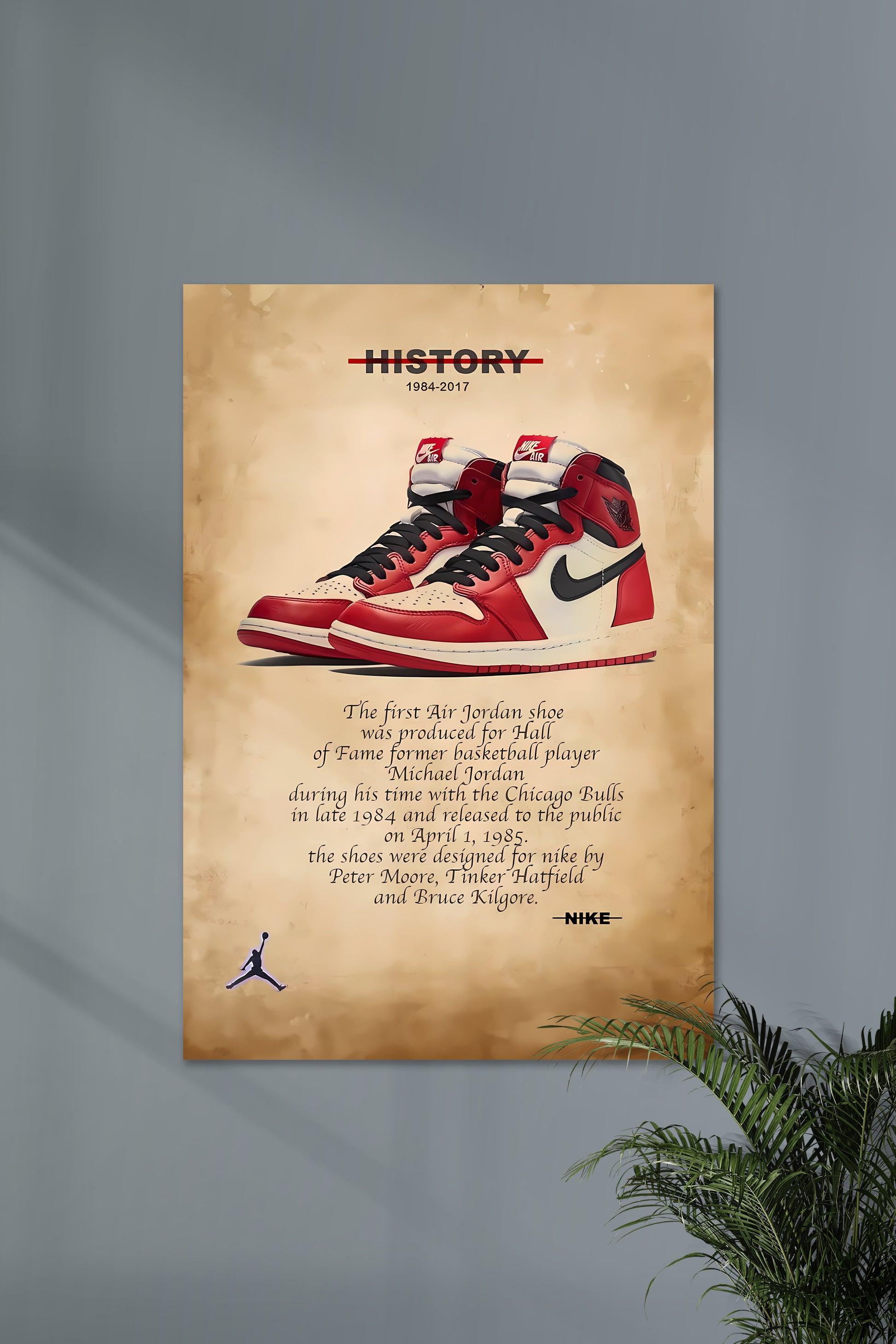Air Jordan Chicago history RETRO 14 NIKE Shoe Poster
